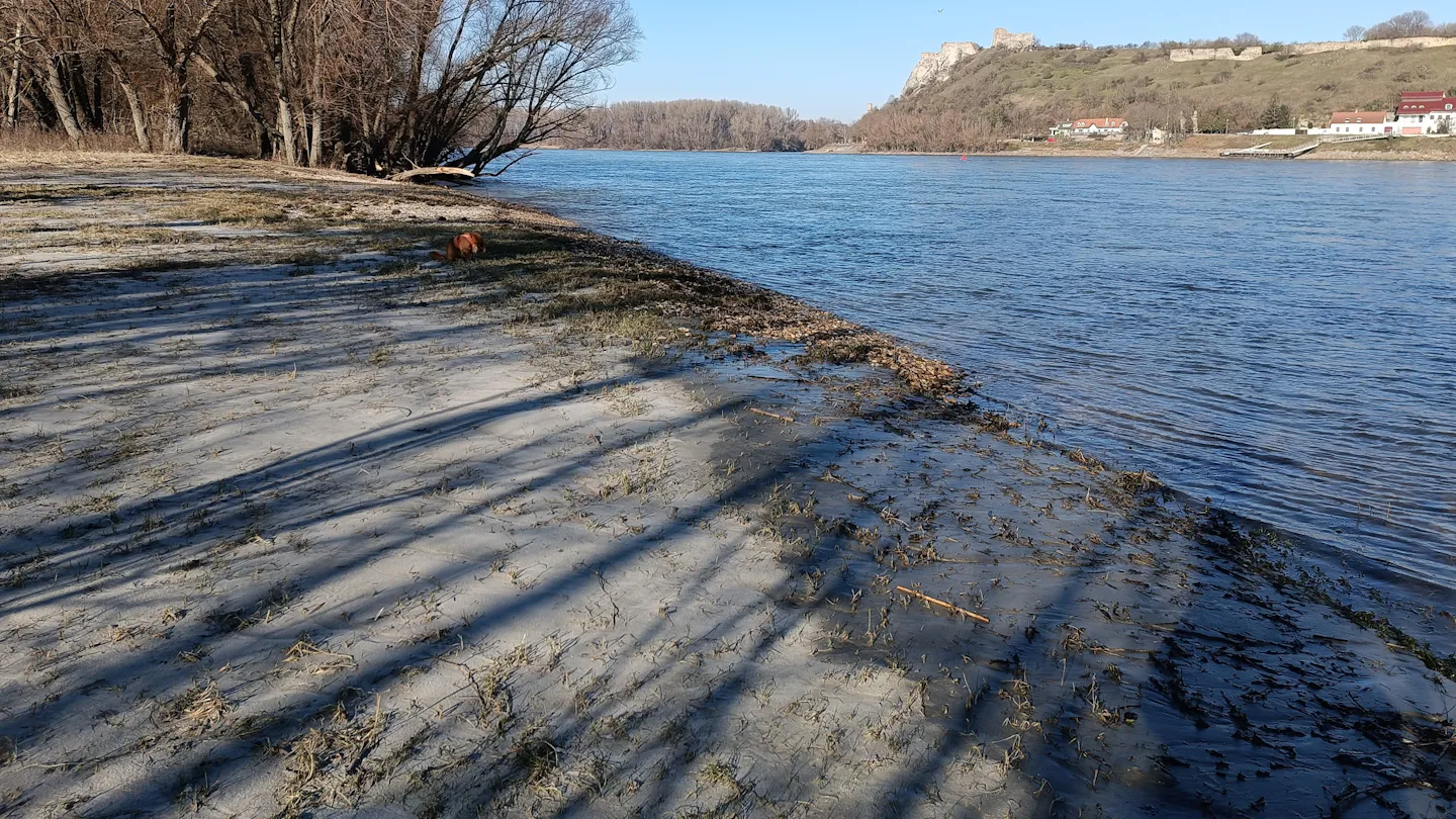 Donau-Niedrigwasser 2026 – warum Rumänien und Ungarn ihre Kernkraftwerke abschalten mussten