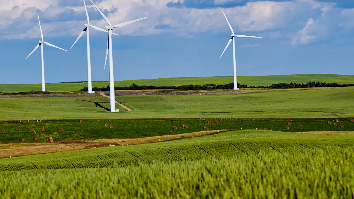 Green Bonds 2026 – warum grüne Anleihen den Markt dominieren und andere Formate zurückfallen
